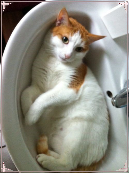 2012-08-30 08.21.51_InPixio