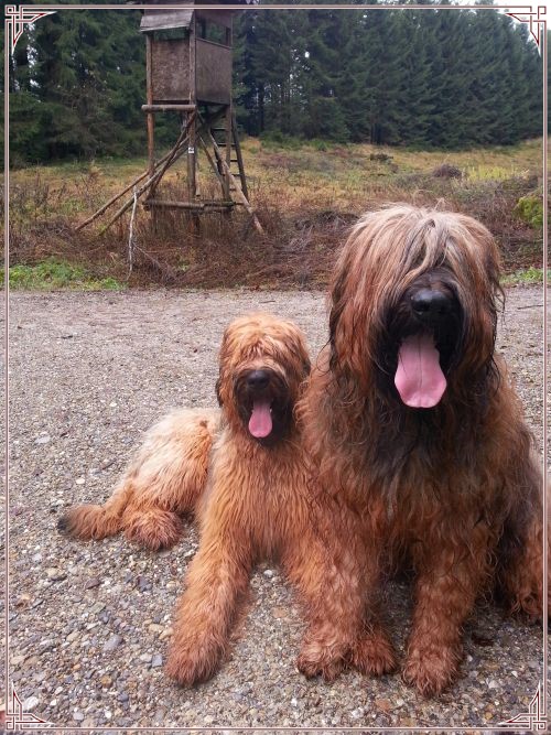 2013-11-19 10.50.35_InPixio