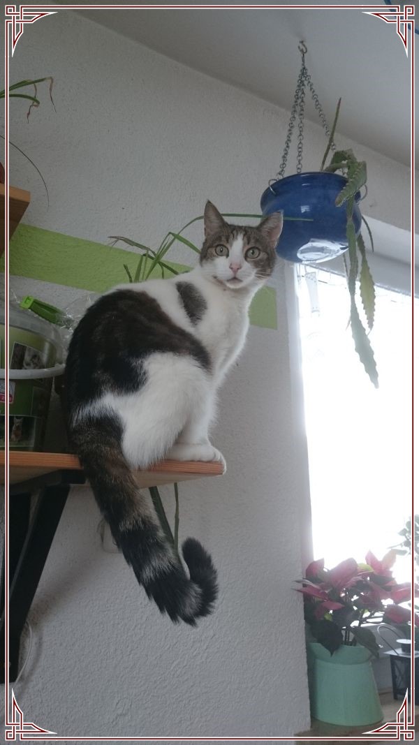 2016-03-01 08.20.59_InPixio