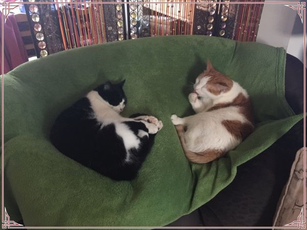 2017-03-31 08.48.27_InPixio